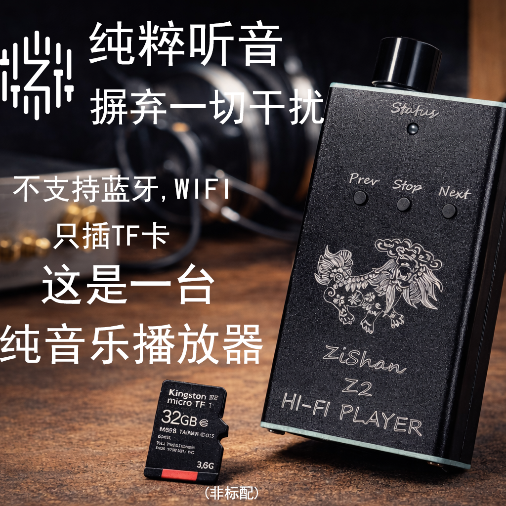 Zishan Z2 HiFi DSD Hard Soluti - Diy Electronics Audio 리뷰 및 가격
