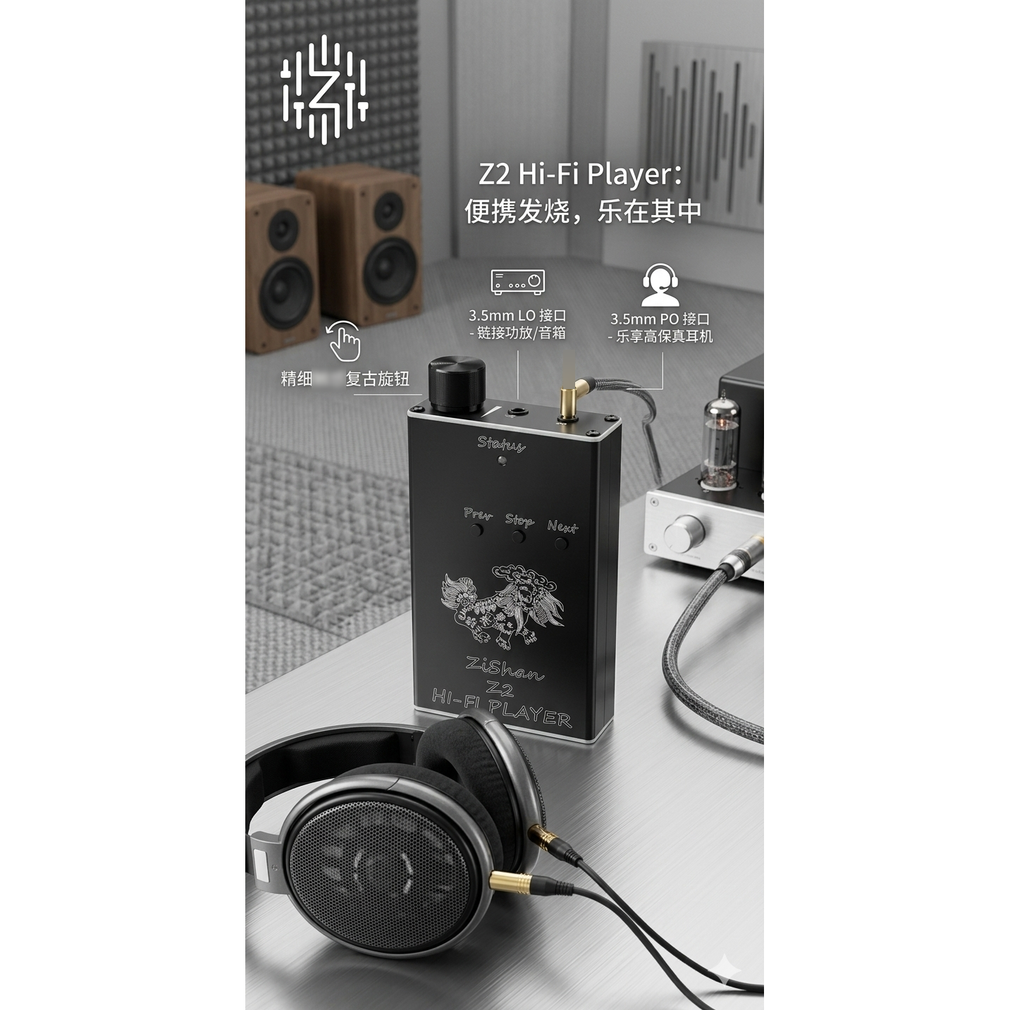 Zishan Z2 HiFi DSD Hard Soluti - Diy Electronics Audio 리뷰 및 가격